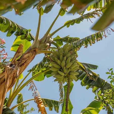 Sa Domo De Sos Massaios فندق مبيت وإفطار أروسييْ