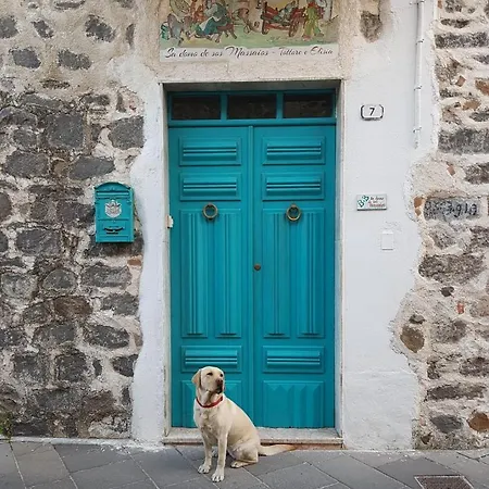 Sa Domo De Sos Massaios